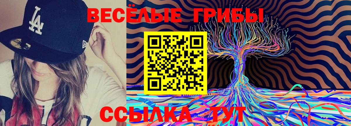 Галлюциногенные грибы GOLDEN TEACHER  Галлюциногенные грибы Cubensis  Вход с VPN  Волоколамск 